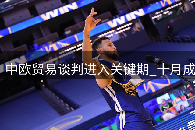 中欧贸易谈判进入关键期 十月成最后期限